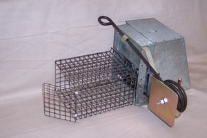 Kania 2000 Squirrel Trap with entrance protection tunnel