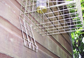 The Elgeeco Squirrel Trap has a separate releasing door