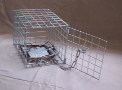 Fenn Cage holding a Mk 4 Fenn Spring Trap